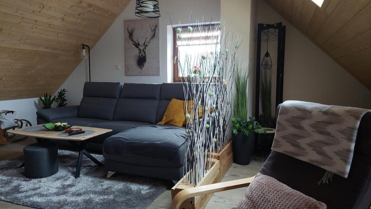 Apartman Pod Smrcinou Vaclavov u Bruntalu Exterior photo